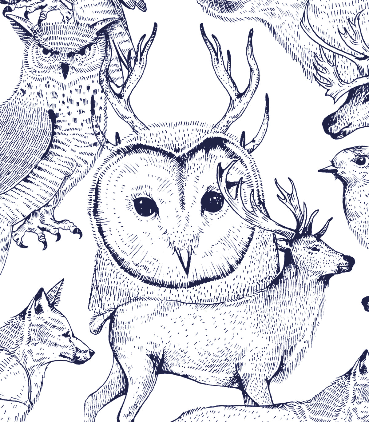 Waldfreunde Hintergrund