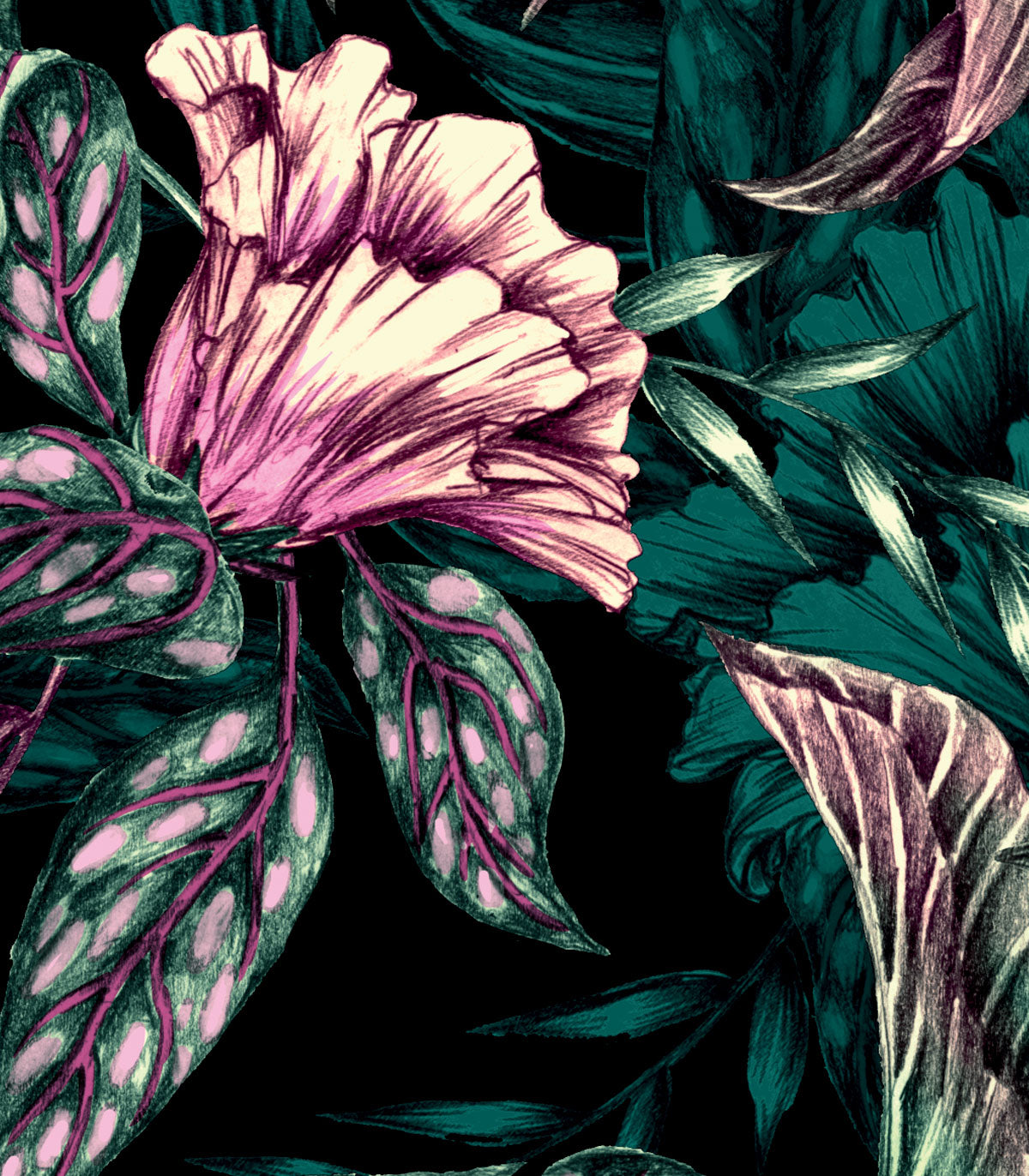 Madagaskar Hintergrundbild