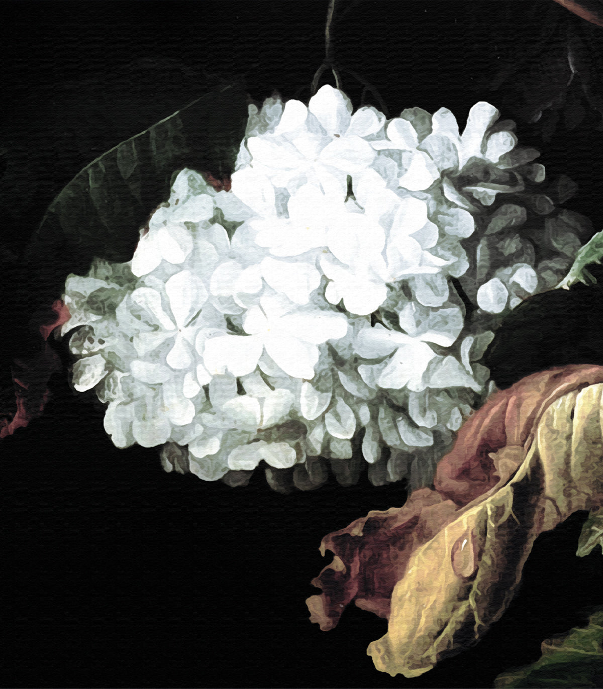 Mitternachtsblumen Hintergrund