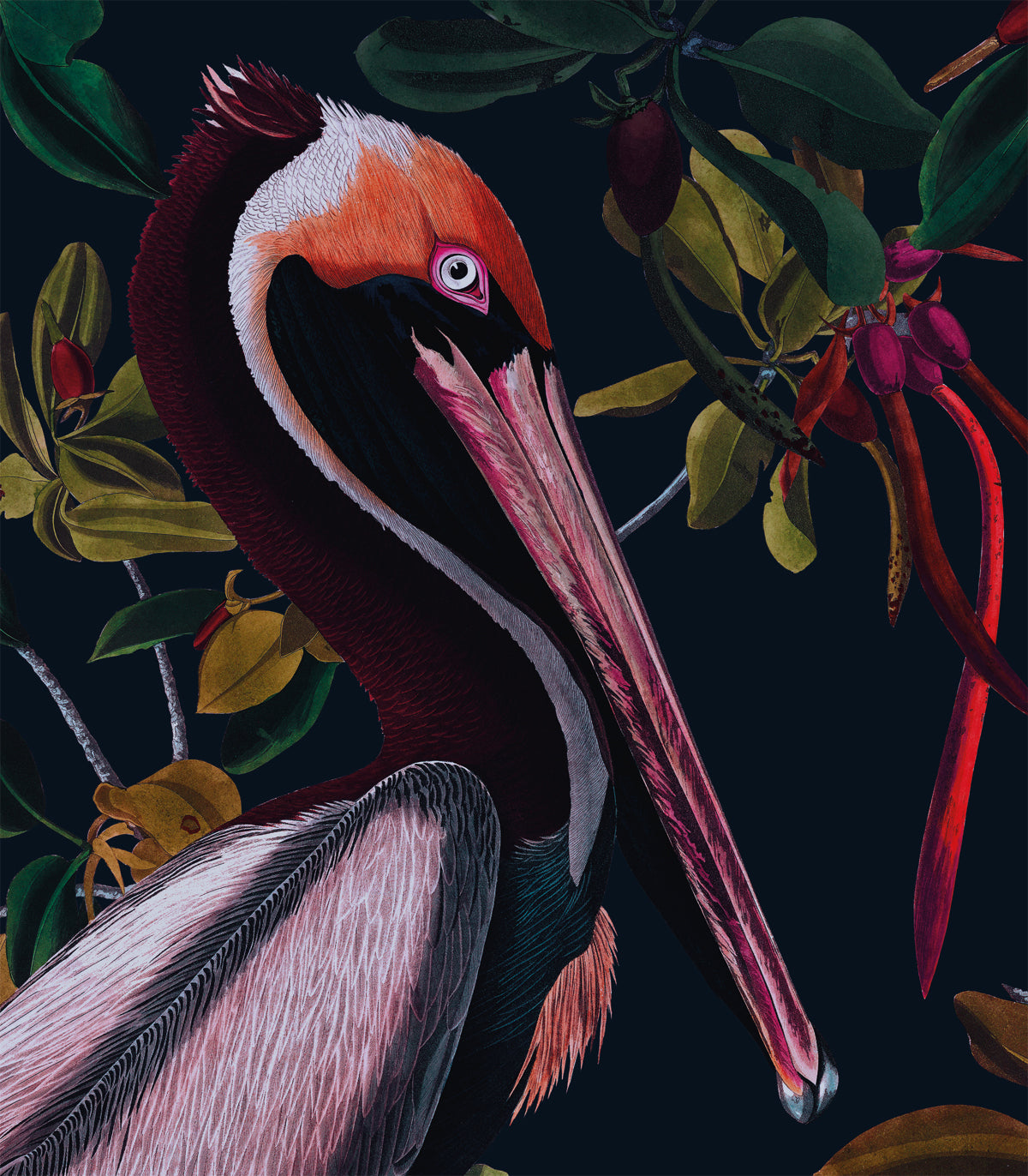 Nachtpelikane Hintergrundbild