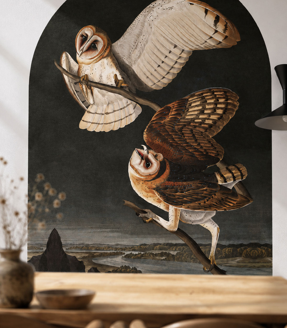 Arch Owls