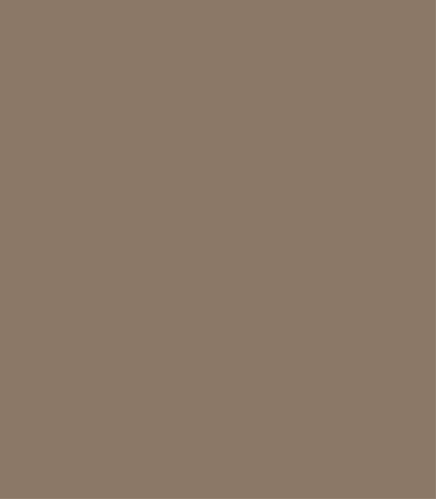 Arch Solid Powdered Earth - Wallcolors®