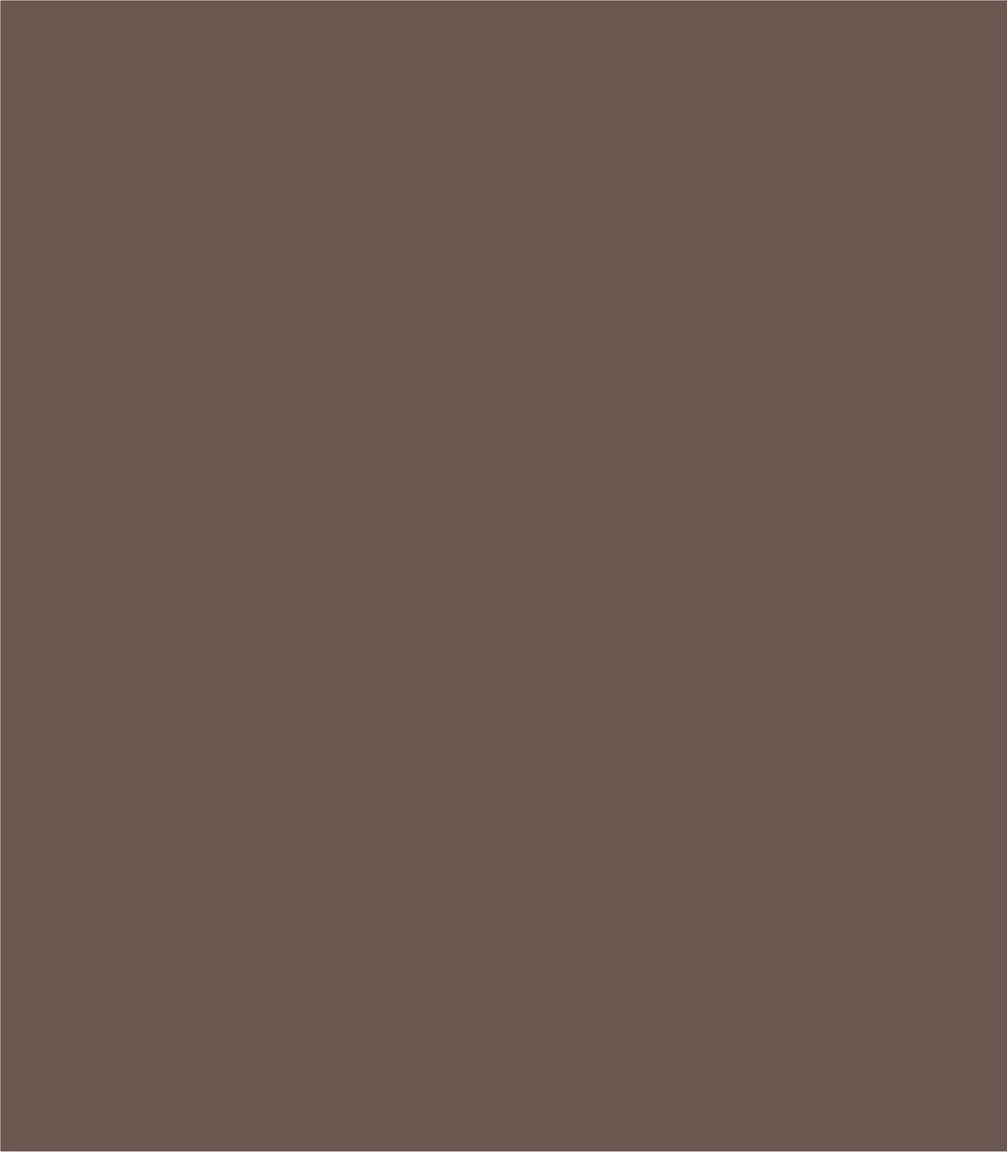 Arch Solid Powdered Earth - Wallcolors®