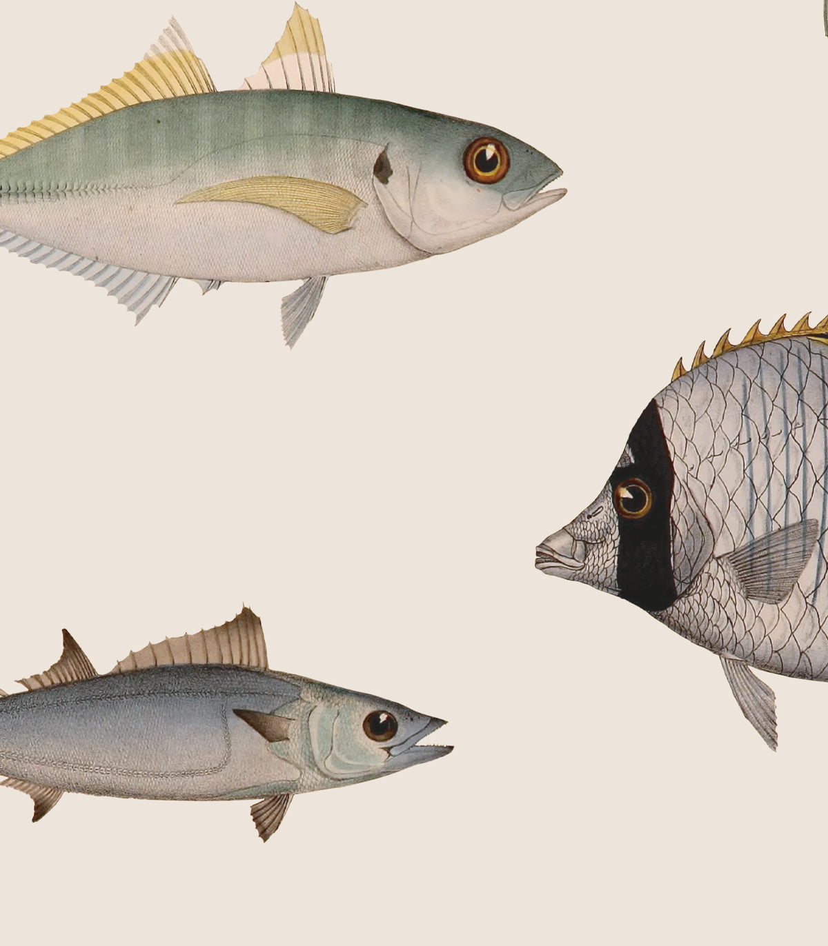 Unter dem Meer Beige Tapete