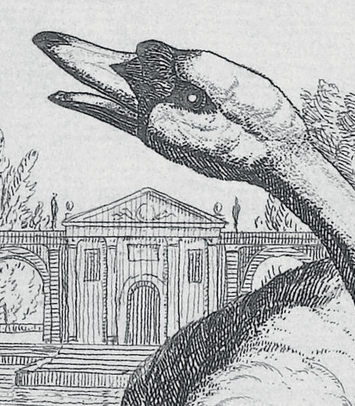 Weiße Schwäne Tapete