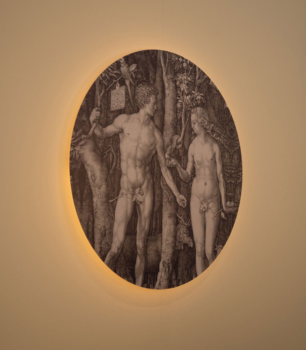 Dots Lighting Forbidden fruit - Wallcolors®