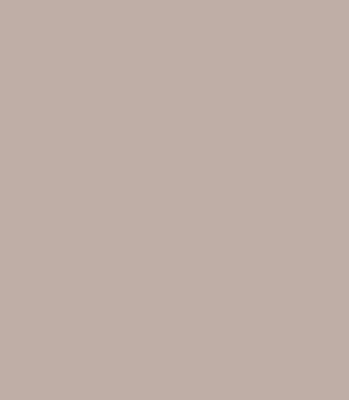 Sandlot Gray 2107 - 50 - Wallcolors®