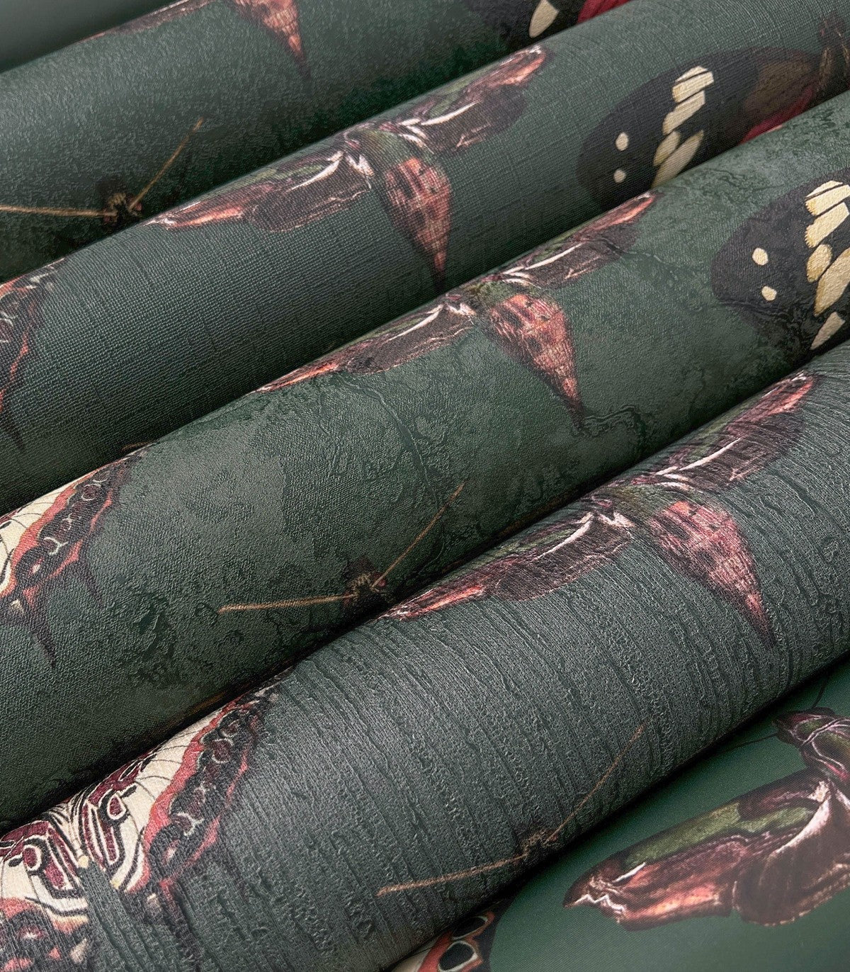 Schmetterlinge Grün Hintergrund