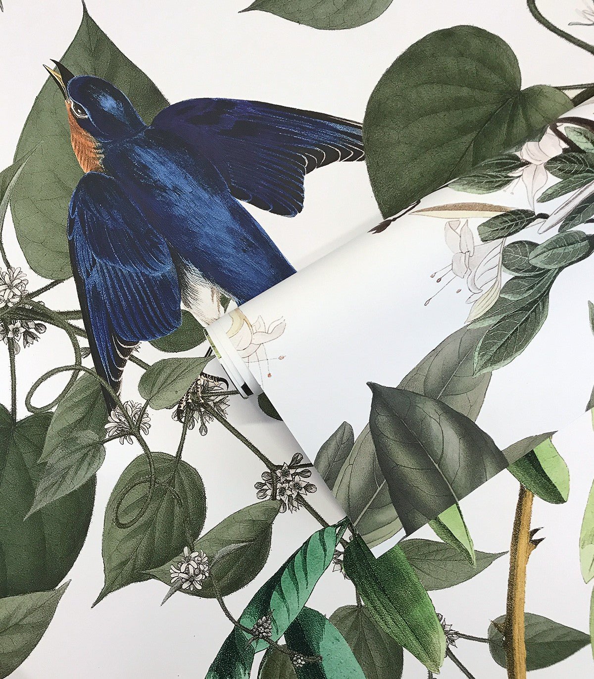 Tapeta Flying Birds - Wallcolors®