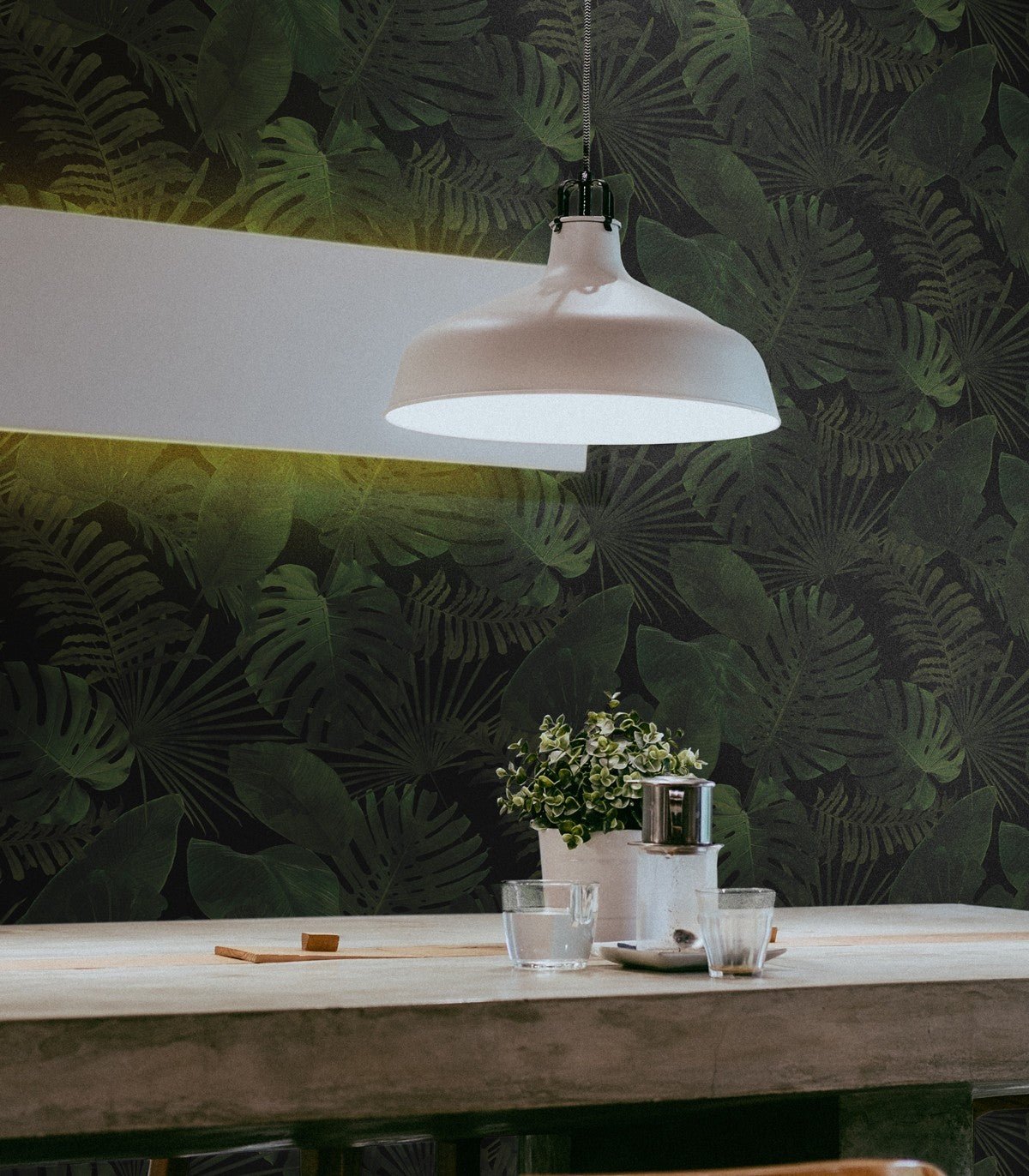 Tapeta Tropical Forest Dark - Wallcolors®